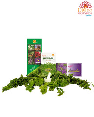 Daylight Agarbatti Combo of 3